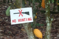 Assessment in the field