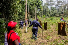 Working with farmers