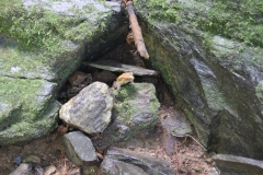 Restoring landscapes