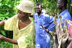Human–elephant conflict mitigation