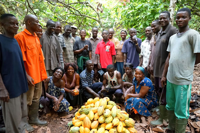 Cocoa certification programme