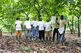 Cocoa Youth Association