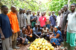 Conservation Cocoa Association