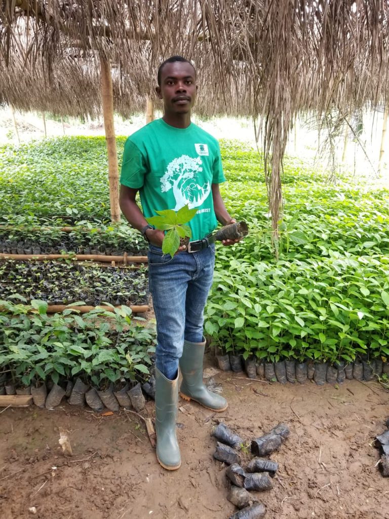 Nurturing a newly planted tree