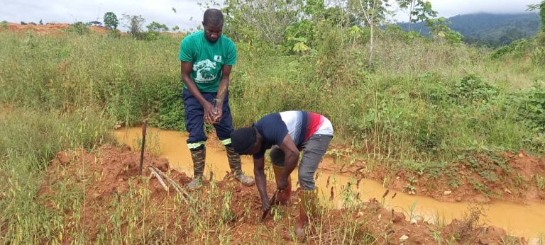 Planting team in the Western North Region