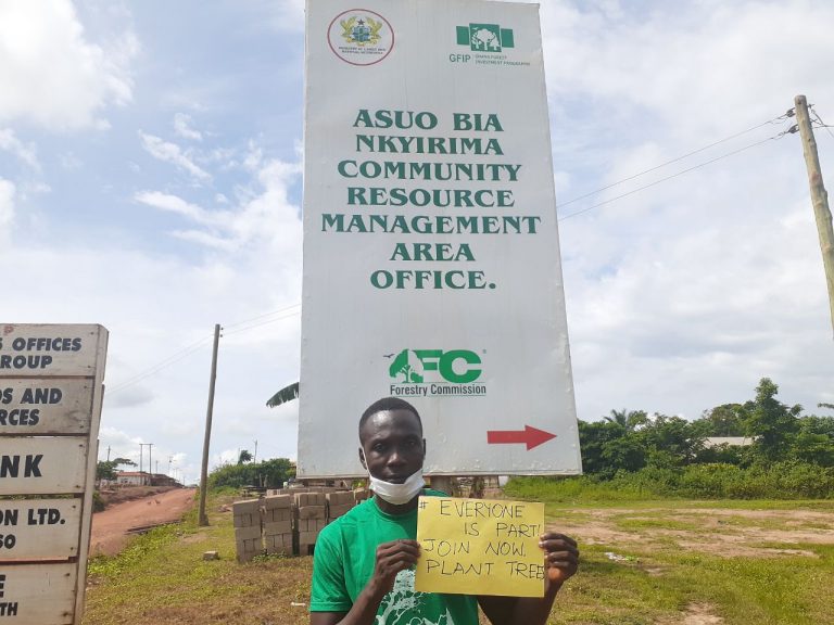 Green Ghana planting