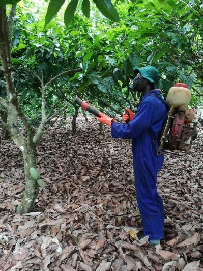 Pesticide use in cocoa farming
