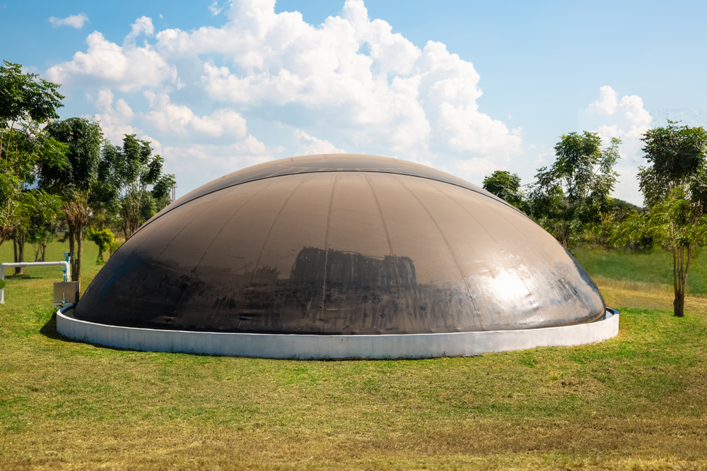 Biogas digester and clean-energy plant