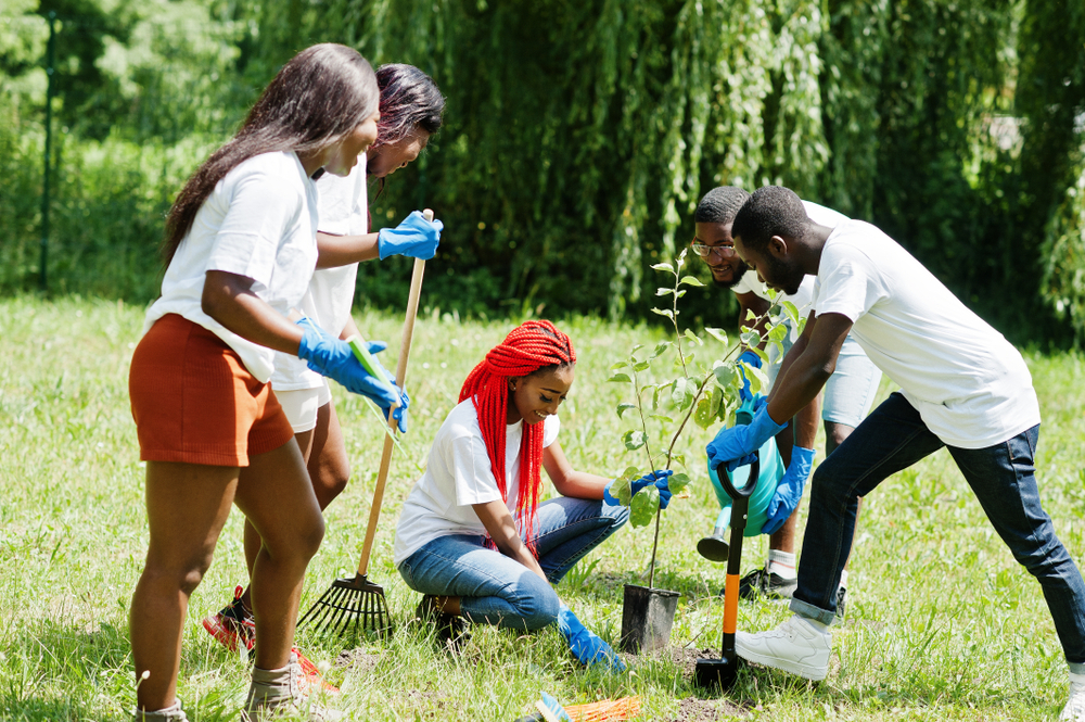 Volunteers planting trees