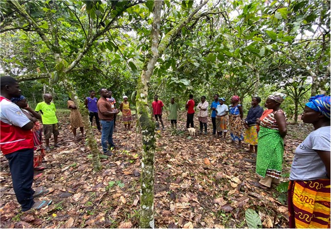 Farmers learning integrated pest management