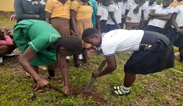 Green Ghana tree planting
