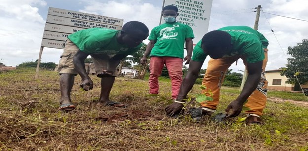 Community tree planting